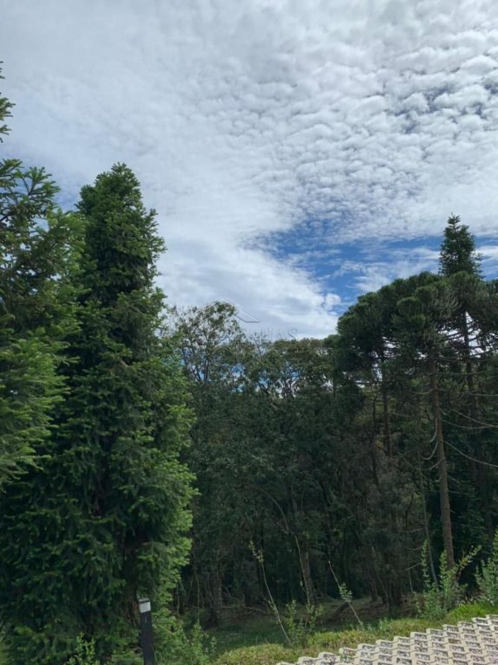 Linda Mansão em Campos do Jordão