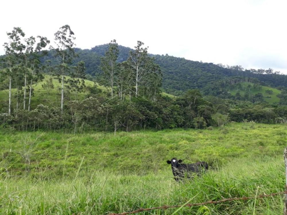 Terreno misto à venda por R$ 450.000,00 - Pindamonhangaba/SP