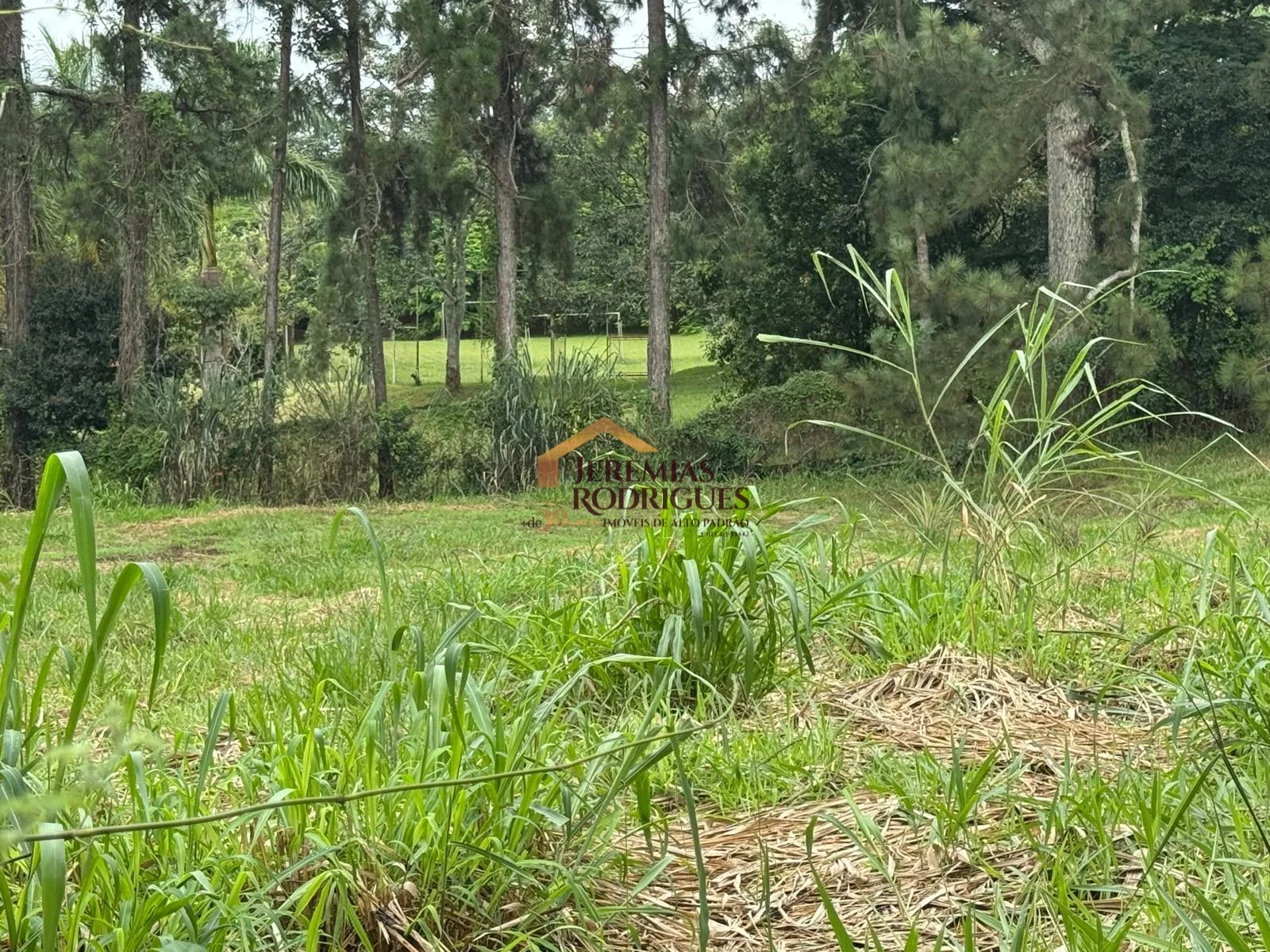 Terreno a venda no Chácaras Cataguá em Taubaté/SP. - foto 2