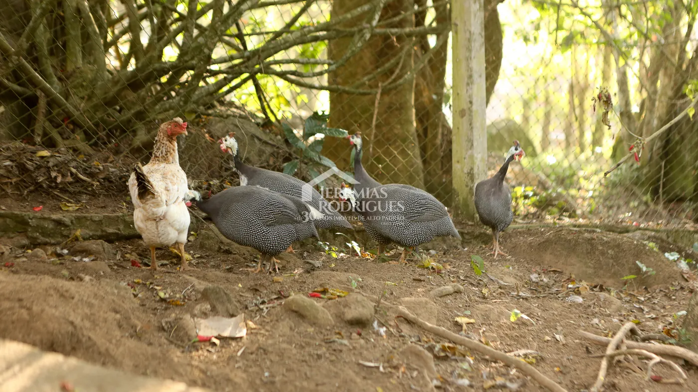 Chácara à venda no bairro do Sapucaí, em Sapucaí-Mirim/MG.