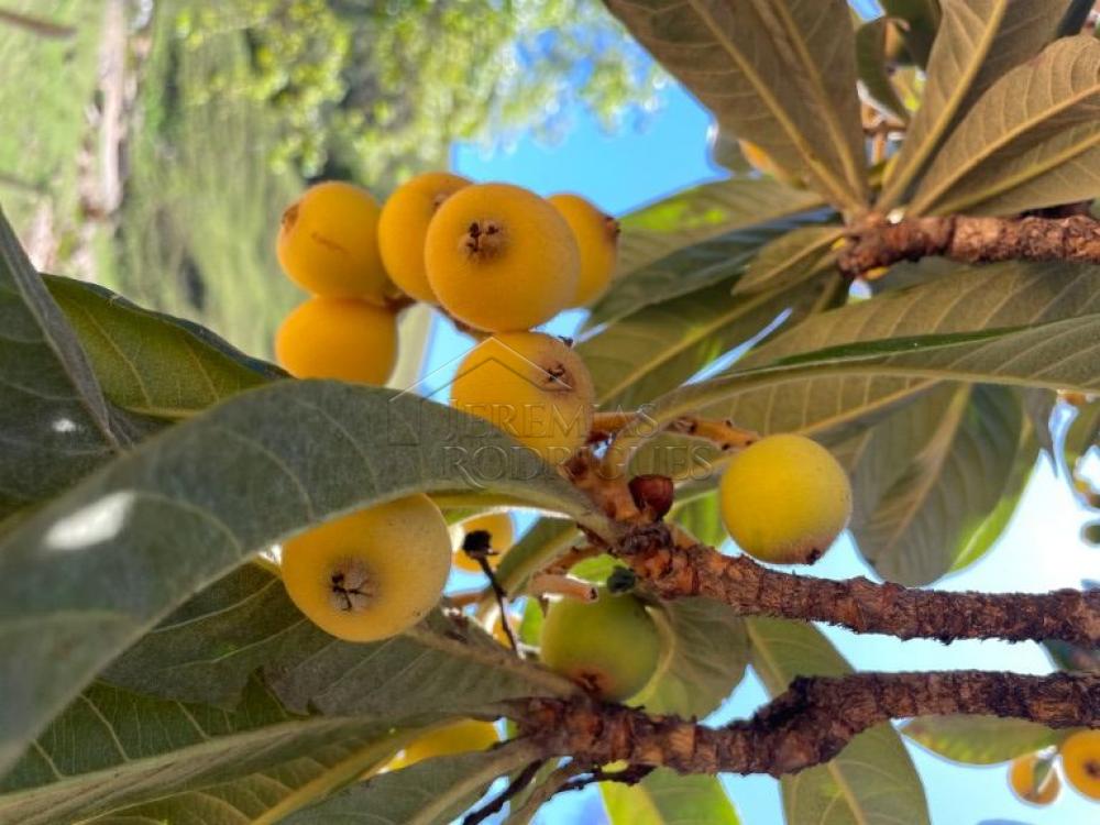 Fazenda com 2 quartos, 2.553.500 m², à venda por R$ 5.800.000- Lorena - Lorena/SP