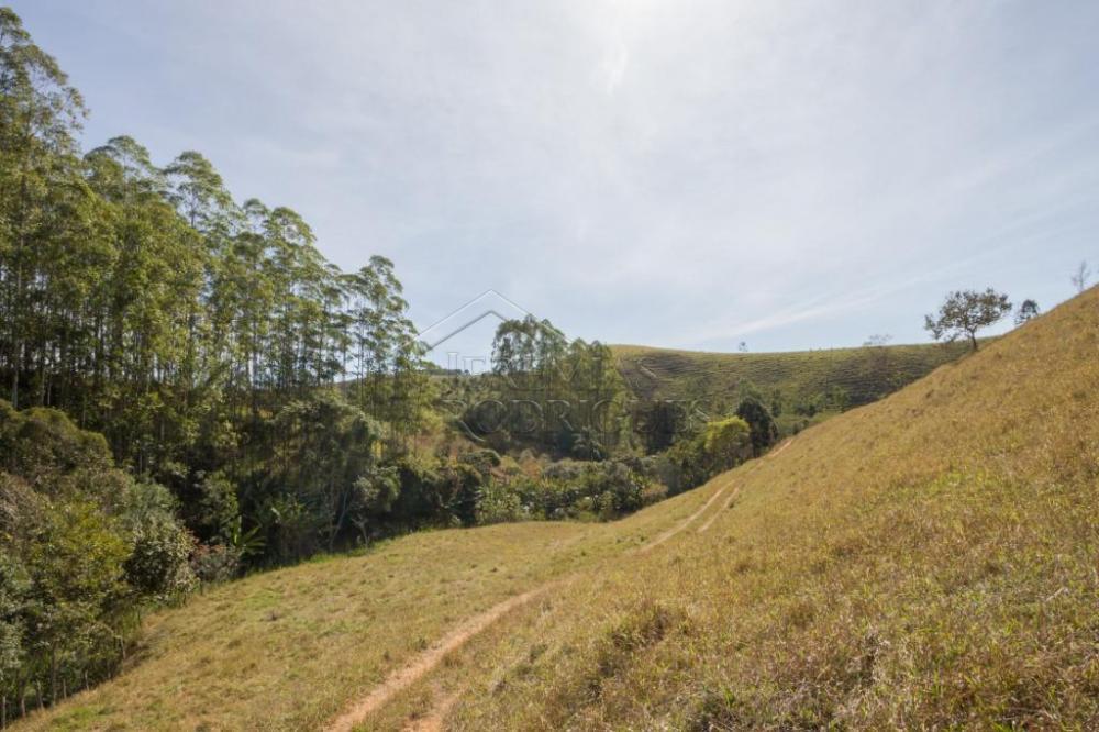 Rural misto à venda por R$ 4.500.000,00 - Lagoinha/SP