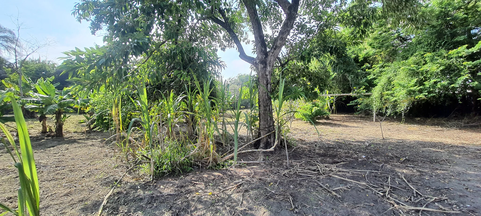 Área à venda no bairro Vila São Geraldo em Taubaté/SP
