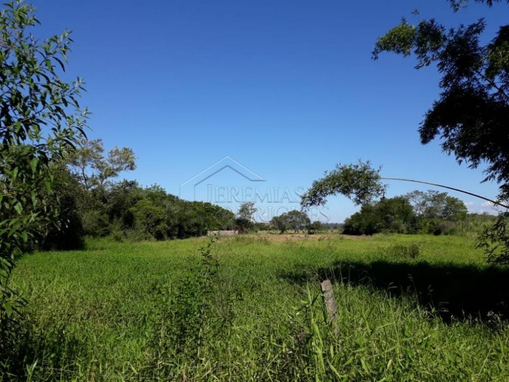 Rural misto à venda por R$ 1.500.000,00 - Pindamonhangaba/SP