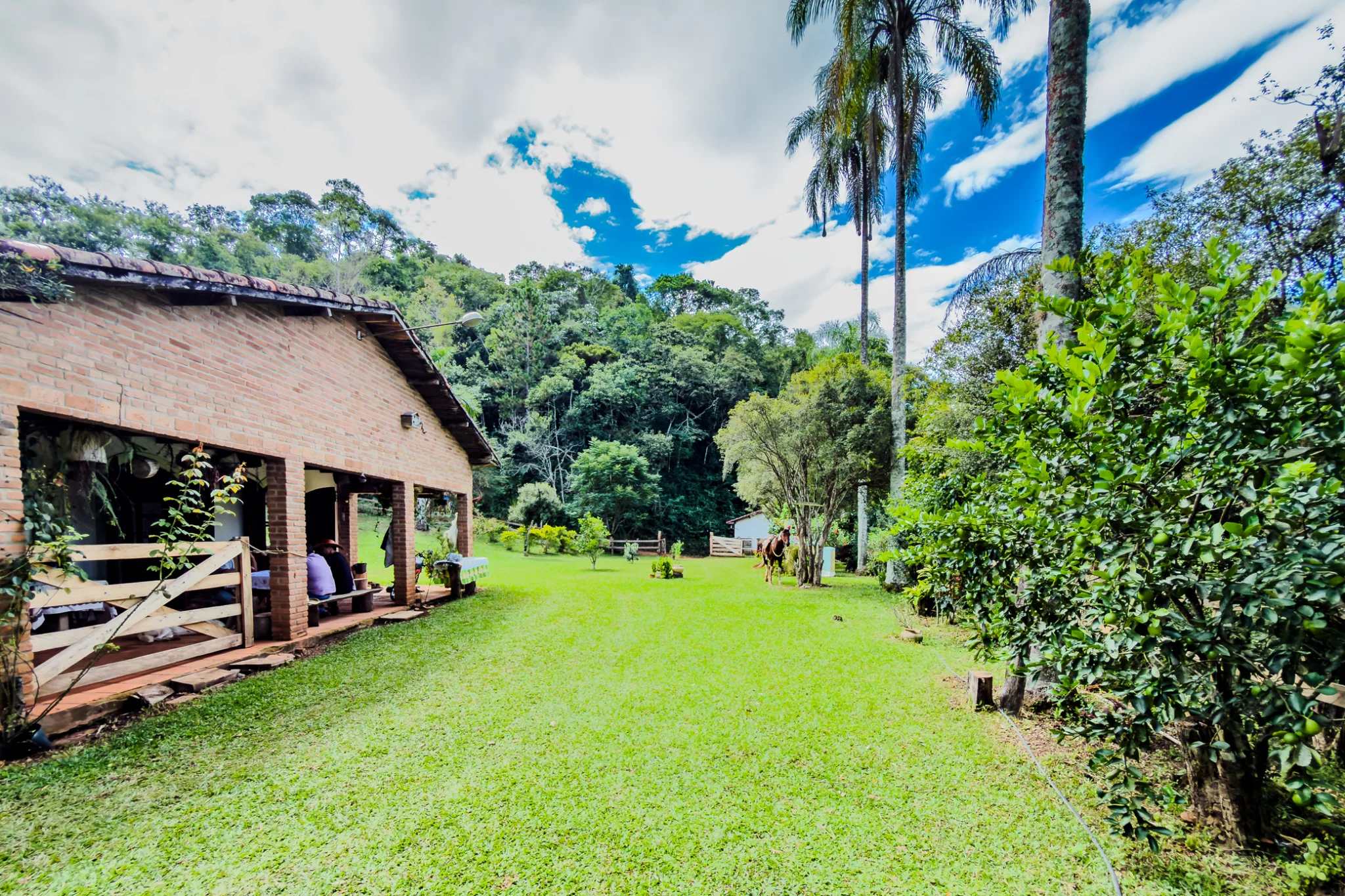 Fazenda á venda com 240 hectares em Cunha/SP. — foto 3