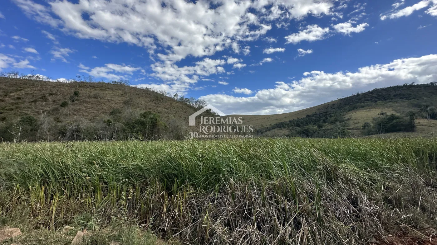 Fazenda para criação de gado de corte e plantação de milho, com mais de 612 hectares, em Cruzeiro-SP.