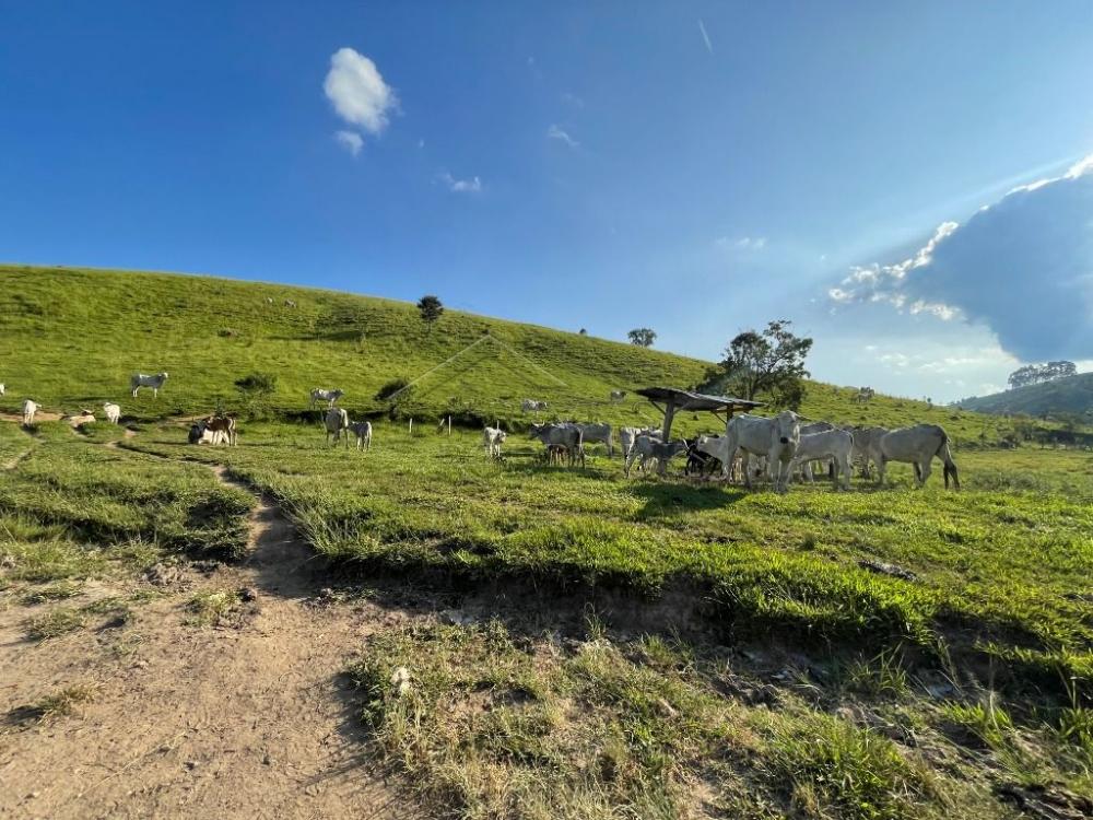 Fazenda à venda em Cunha/SP