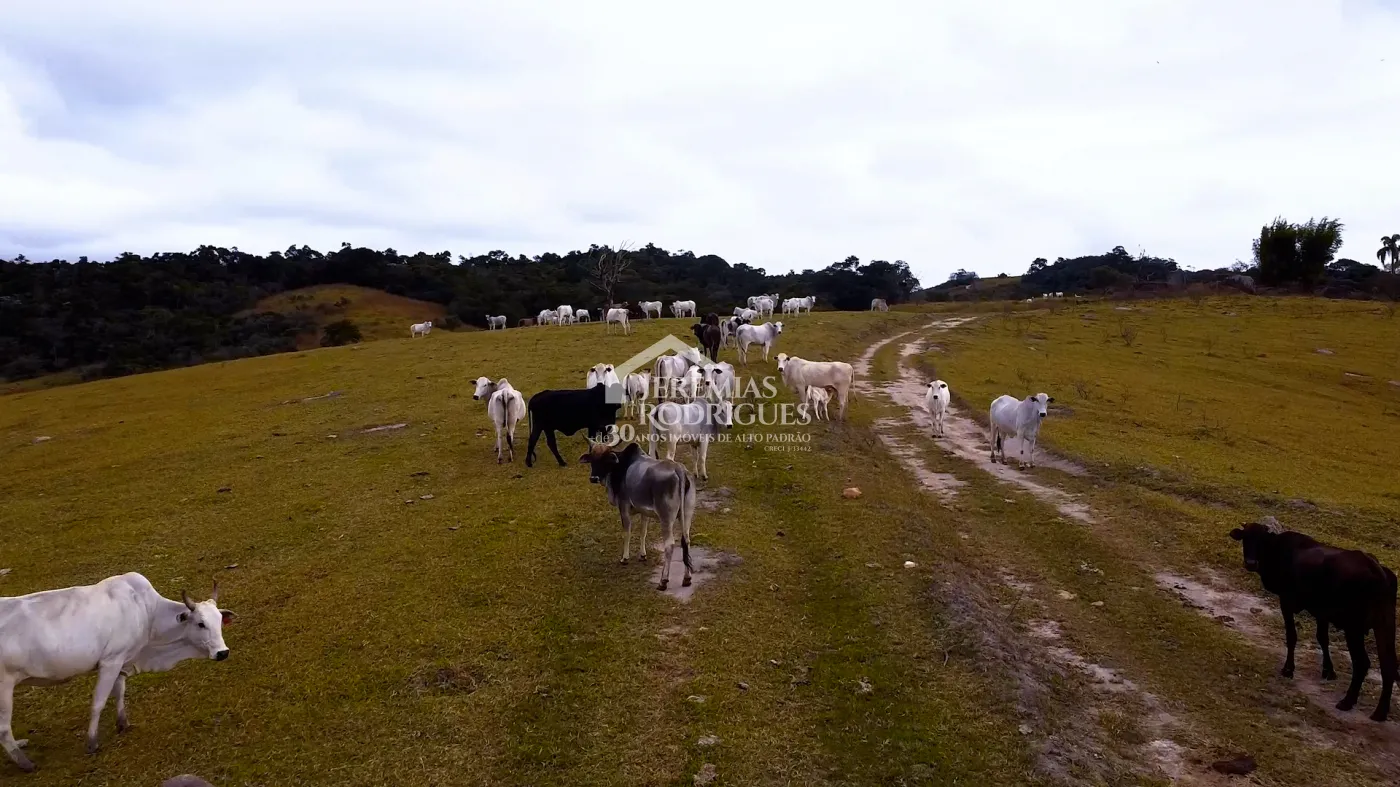 Fazenda à venda com 2.544 hectares em Santa Branca/SP.