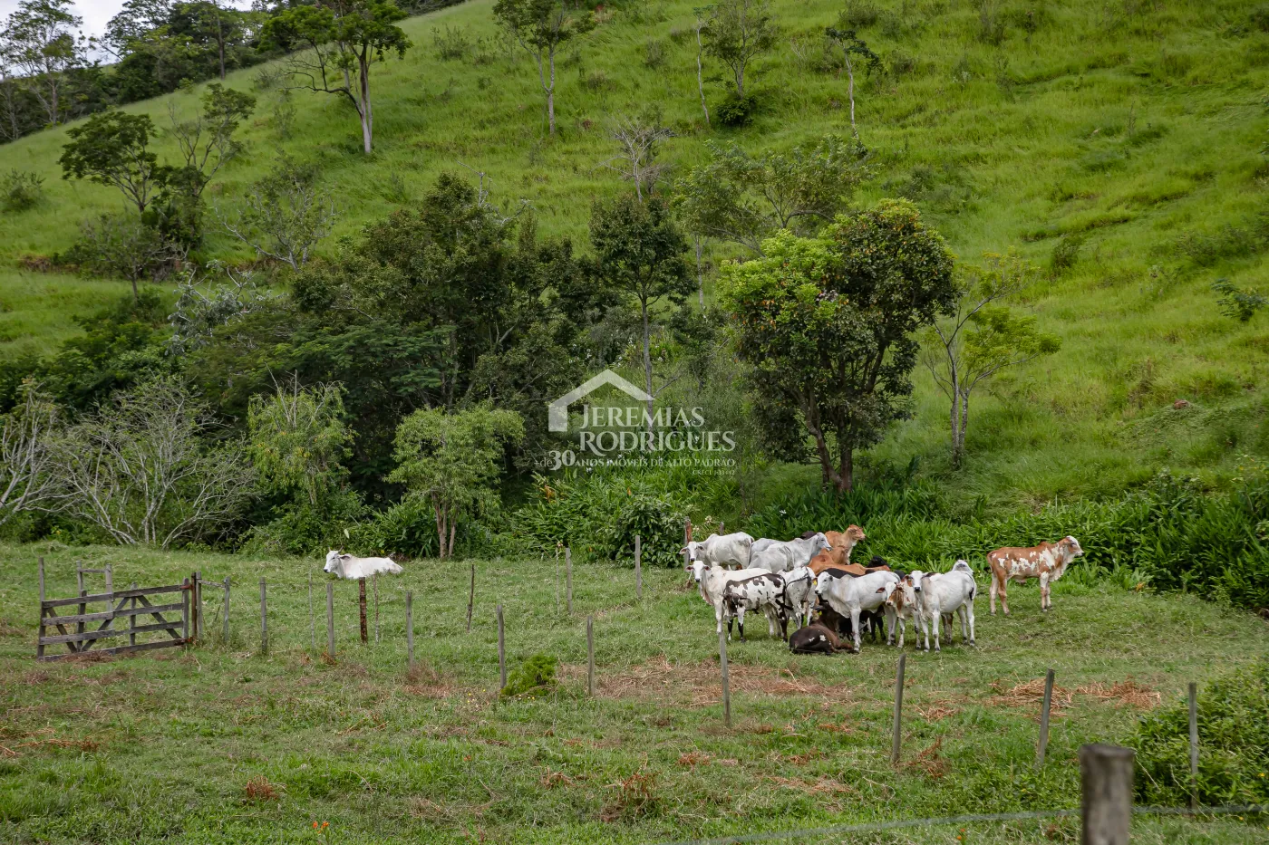 Fazenda com 2.808.000 m² - Caçapava/SP