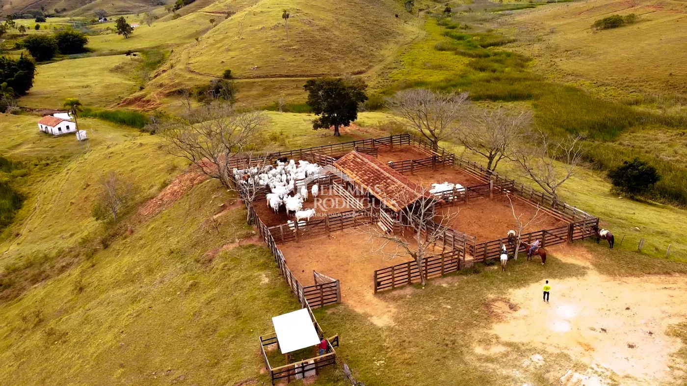 Fazenda à venda com 2.544 hectares em Santa Branca/SP.