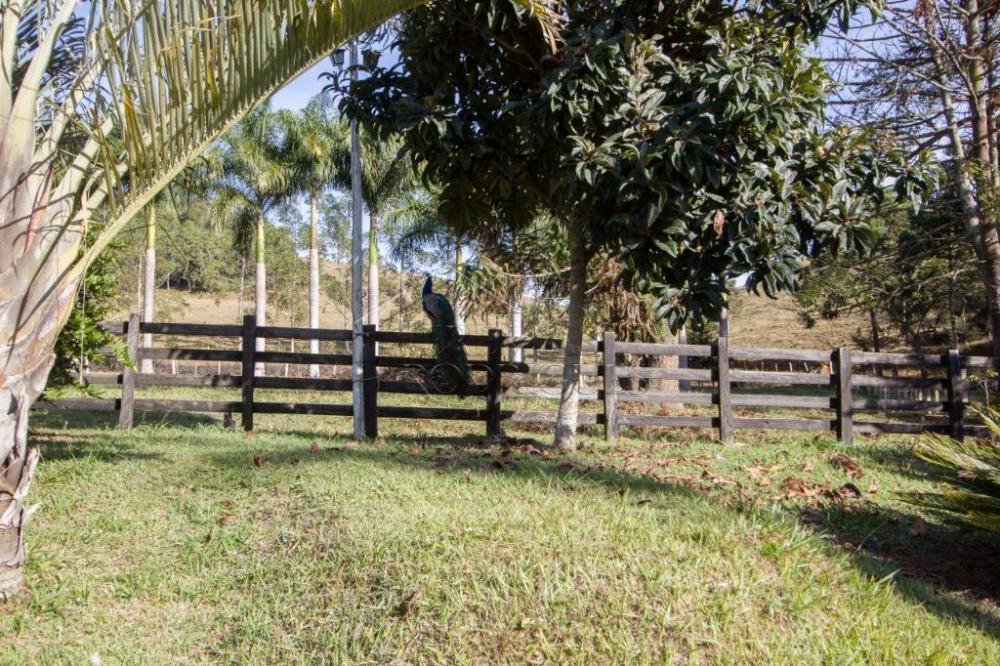 Rural misto à venda por R$ 4.500.000,00 - Lagoinha/SP