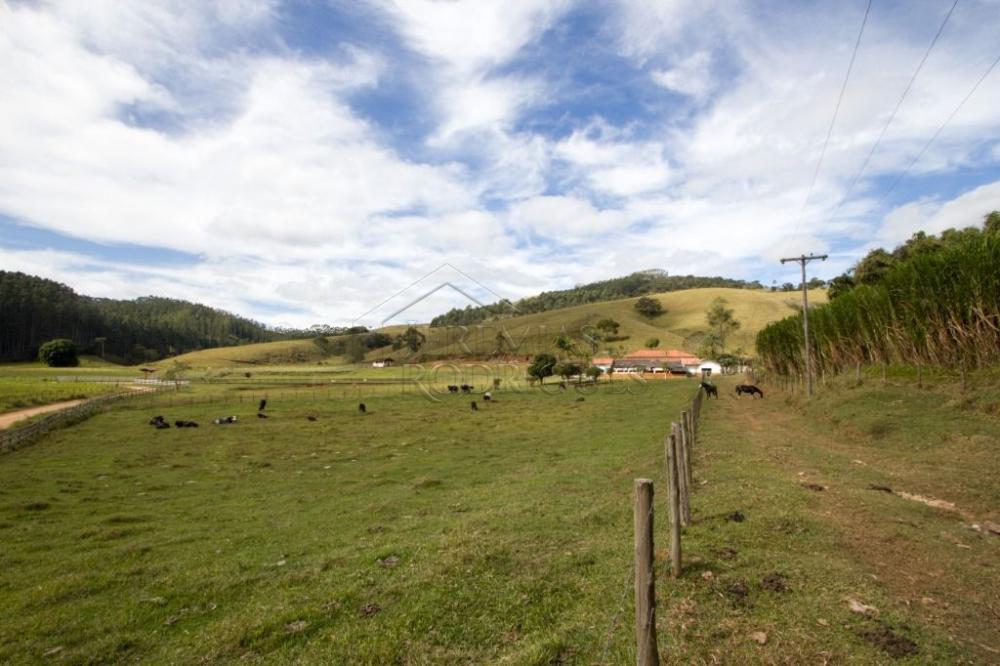 Fazenda com 4 dormitórios à venda, 968.000 m² - Lagoinha/SP