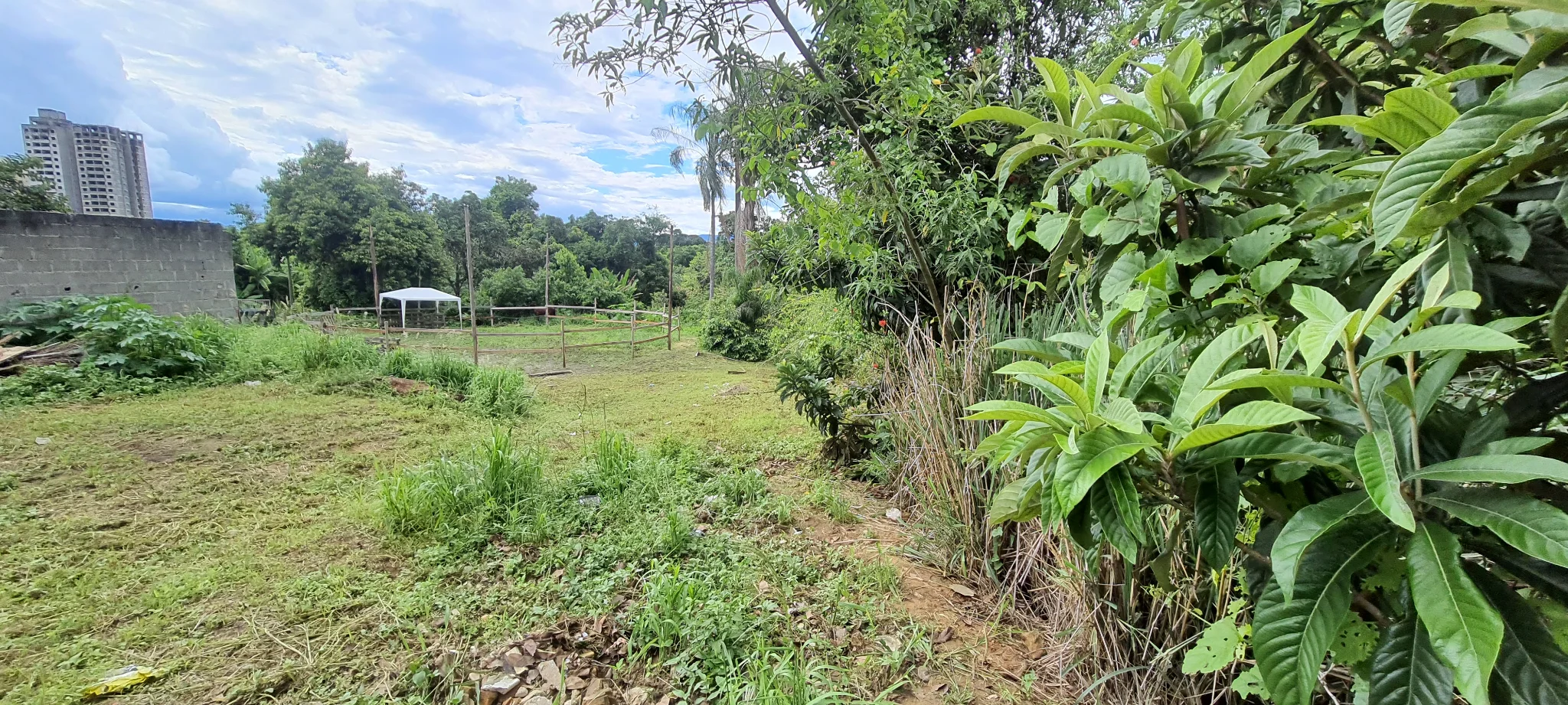 Área à venda com 10.969 m² no bairro Areão em Taubaté/SP.