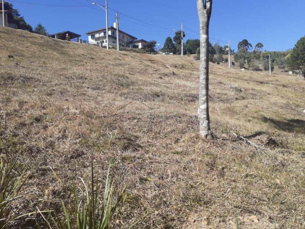 Terreno residencial à venda por R$ 1.000.000,00 - Campos do Jordão/SP