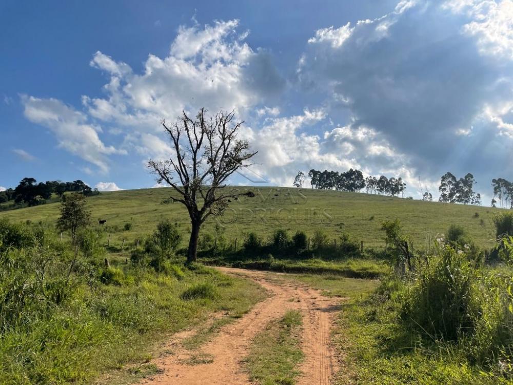Fazenda à venda em Cunha/SP