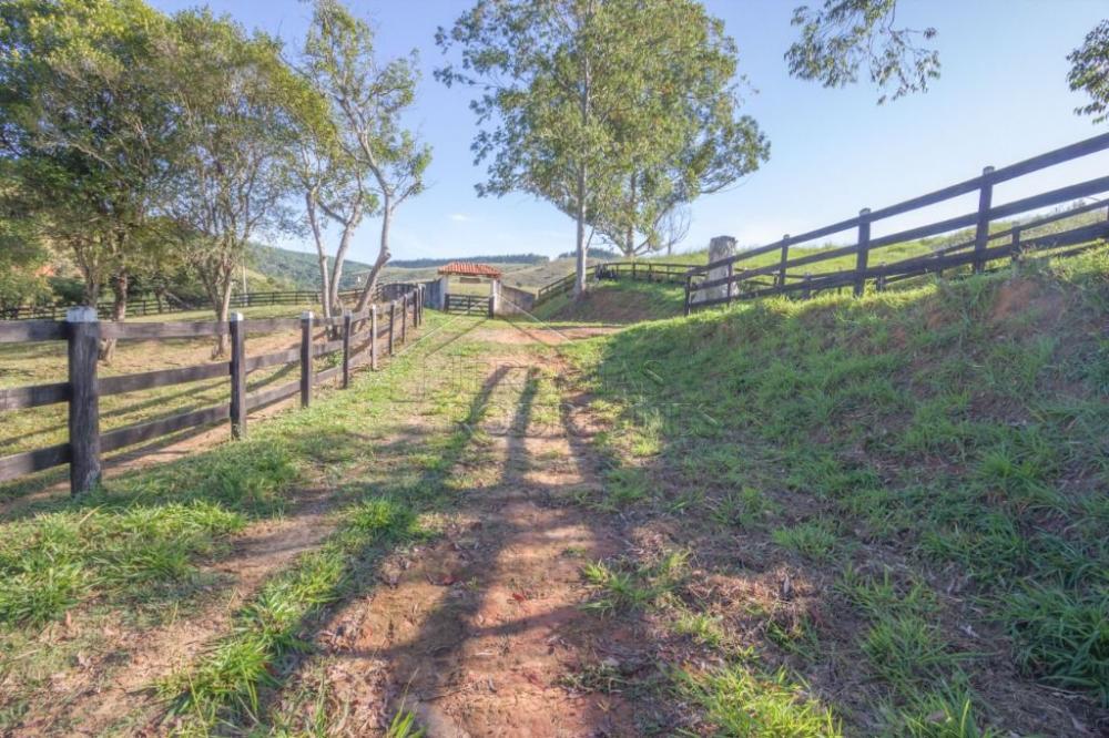 Rural misto à venda por R$ 20.000.000,00 - Roseira/SP