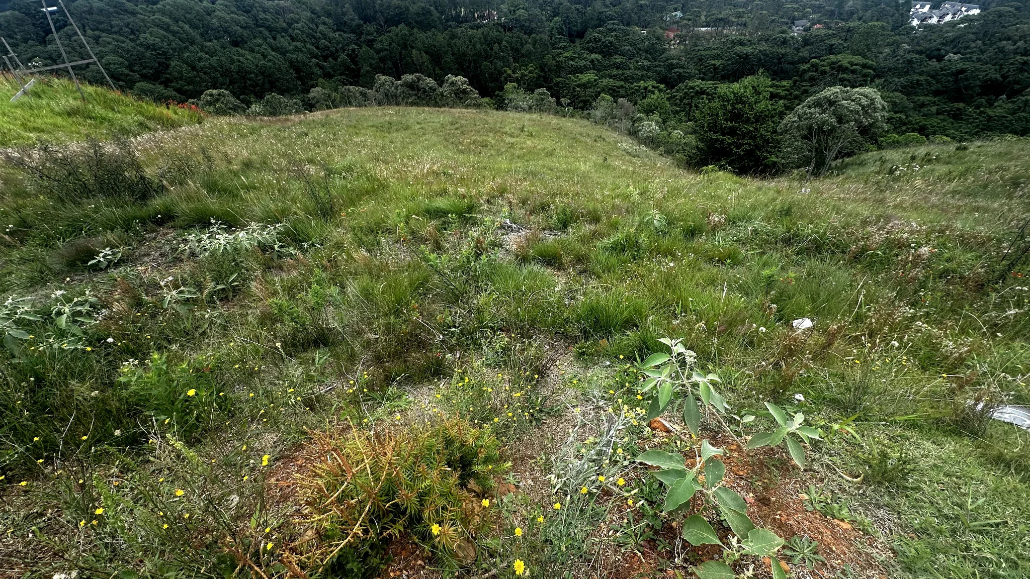 Terreno à venda com 2.650 m² no Condomínio Reserva Figueiredo em Campos do Jordão/SP. 