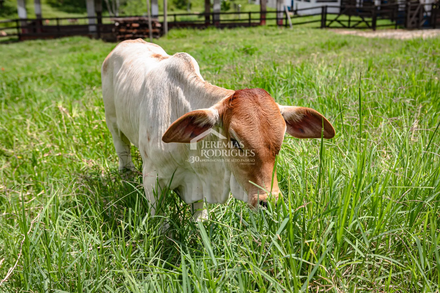 Fazenda com 2.808.000 m² - Caçapava/SP