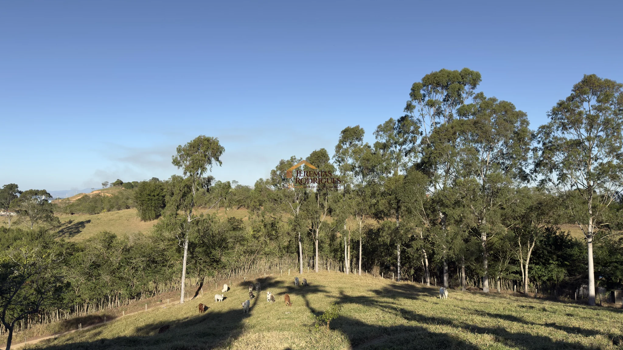 Fazenda à venda em Tremembé/SP. — foto 23
