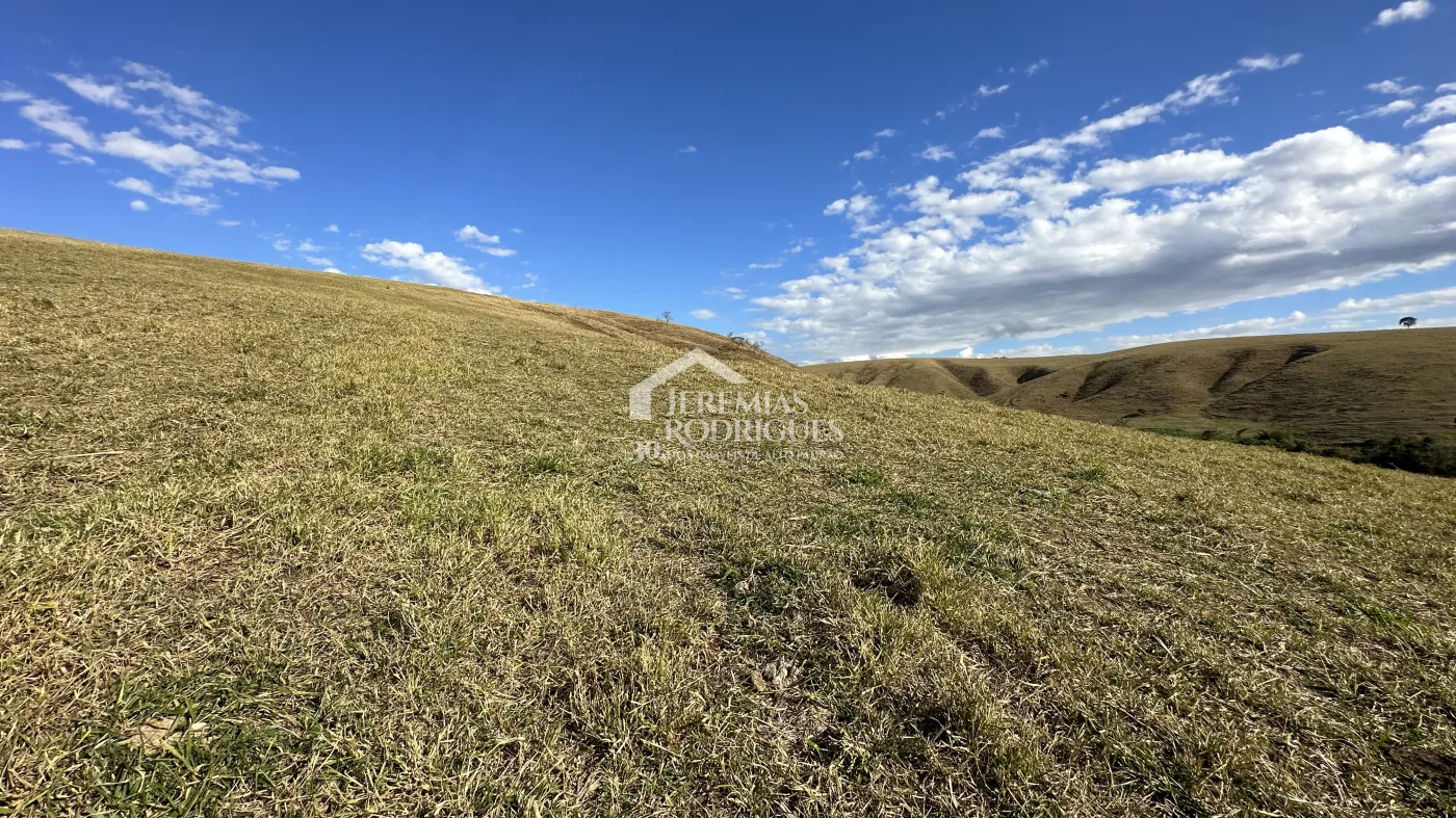 Fazenda para criação de gado de corte e plantação de milho, com mais de 612 hectares, em Cruzeiro-SP.