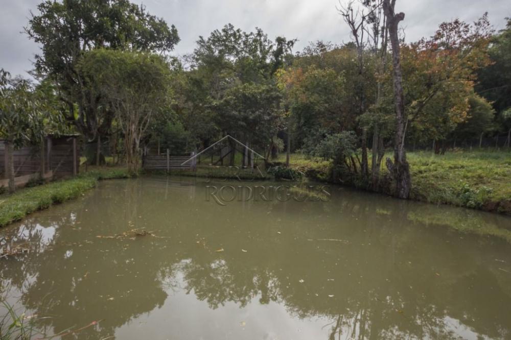 Rural misto à venda por R$ 20.000.000,00 - Roseira/SP