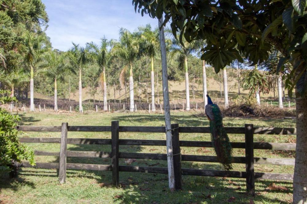 Rural misto à venda por R$ 4.500.000,00 - Lagoinha/SP