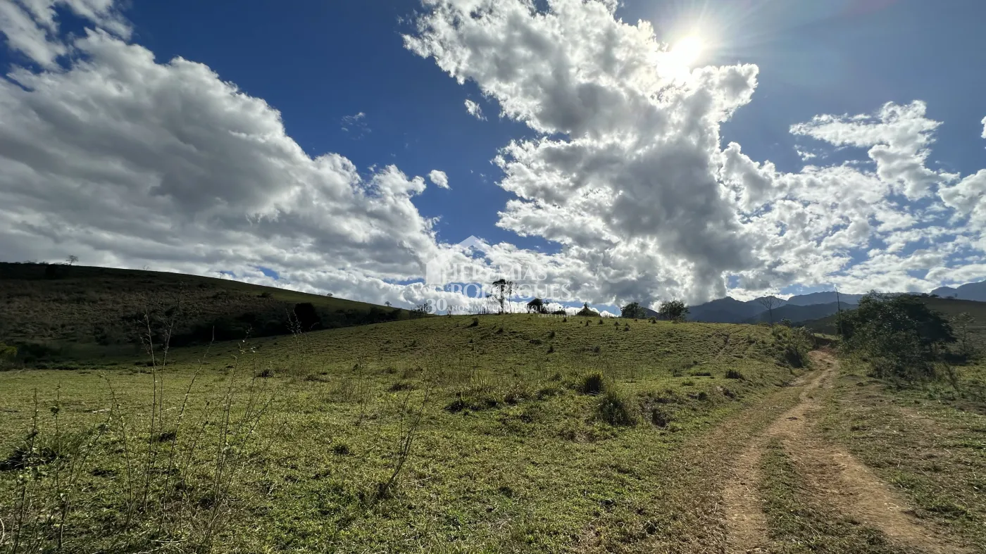 Fazenda para criação de gado de corte e plantação de milho, com mais de 612 hectares, em Cruzeiro-SP.