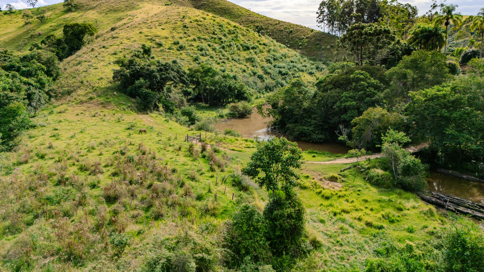 Fazenda á venda com 240 hectares em Cunha/SP. — foto 16