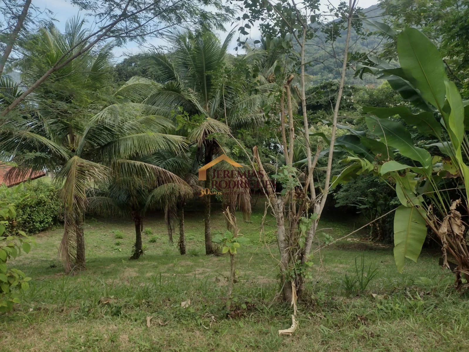 Terreno pé na areia à venda no Condomínio Santa Rita em Ubatuba/SP.