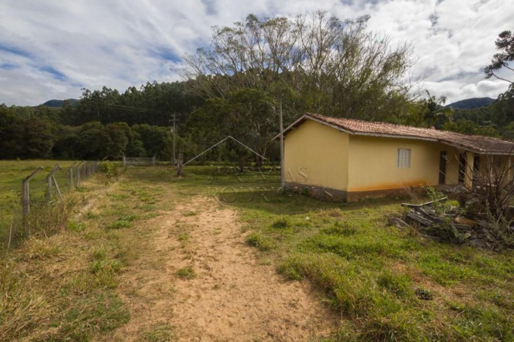 Fazenda com 4 dormitórios à venda, 968.000 m² - Lagoinha/SP