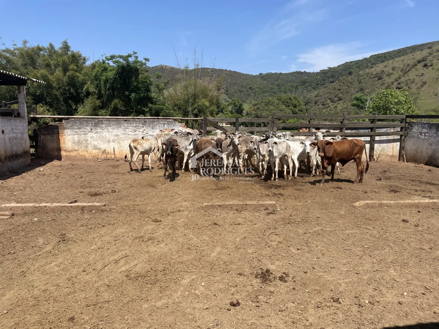 Fazenda à venda em Lorena/SP