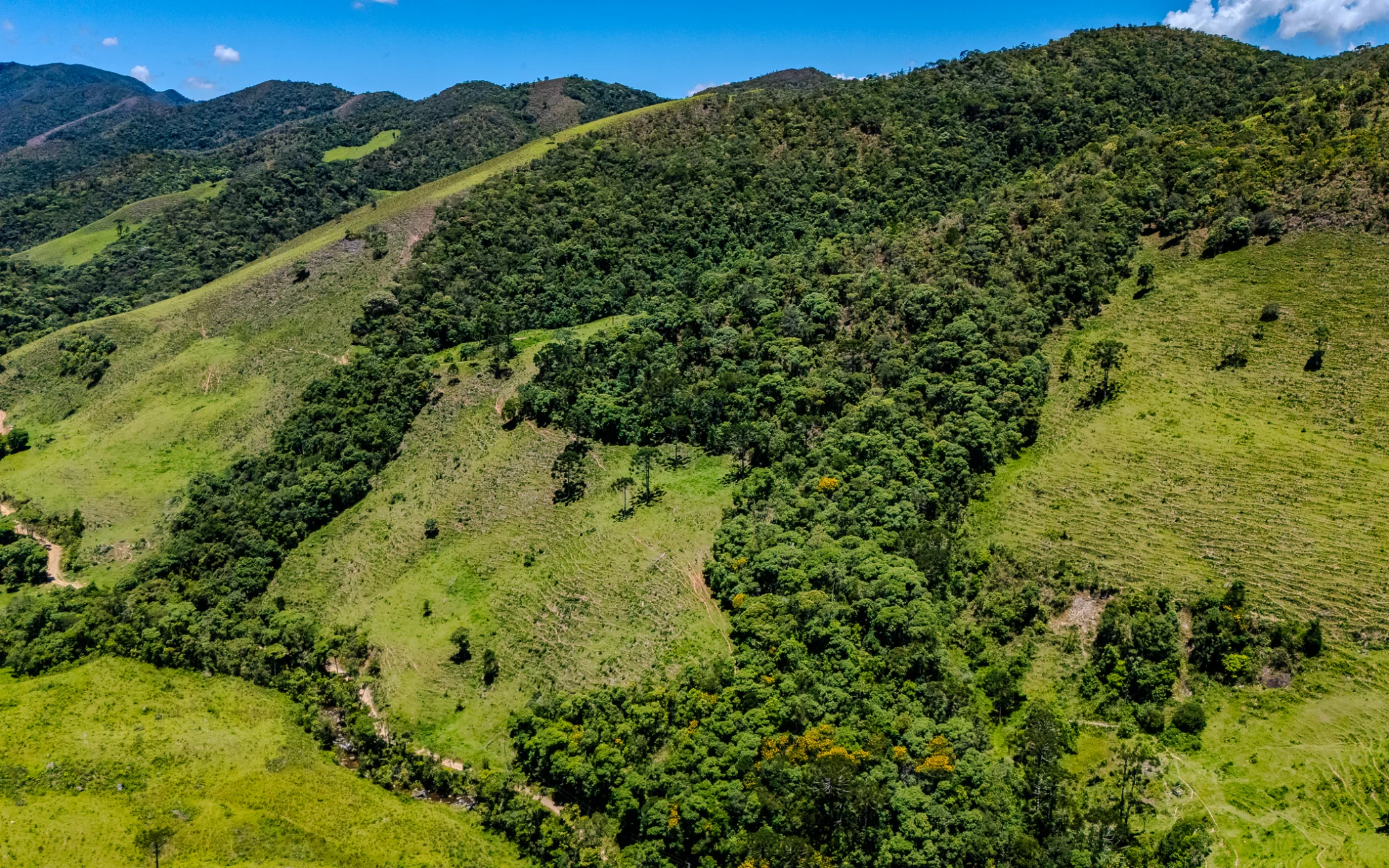 Fazenda à venda com 78 hectares em São José do Barreiro/SP. 