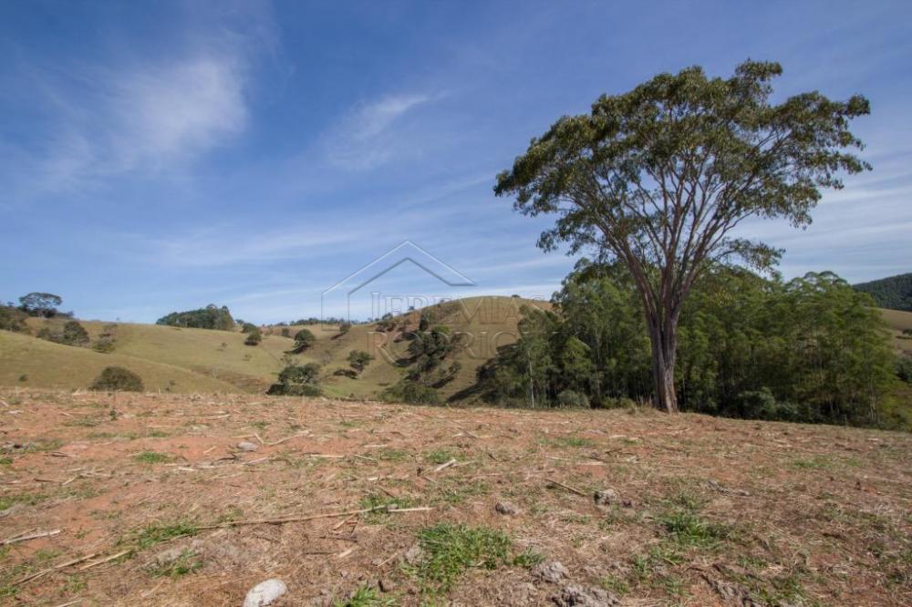 Rural misto à venda por R$ 4.500.000,00 - Lagoinha/SP