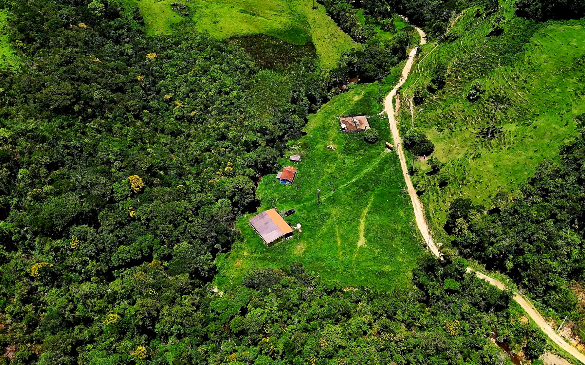 Fazenda à venda com 78 hectares em São José do Barreiro/SP. 