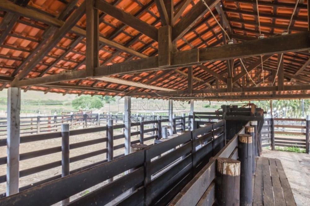 Rural misto à venda por R$ 20.000.000,00 - Roseira/SP