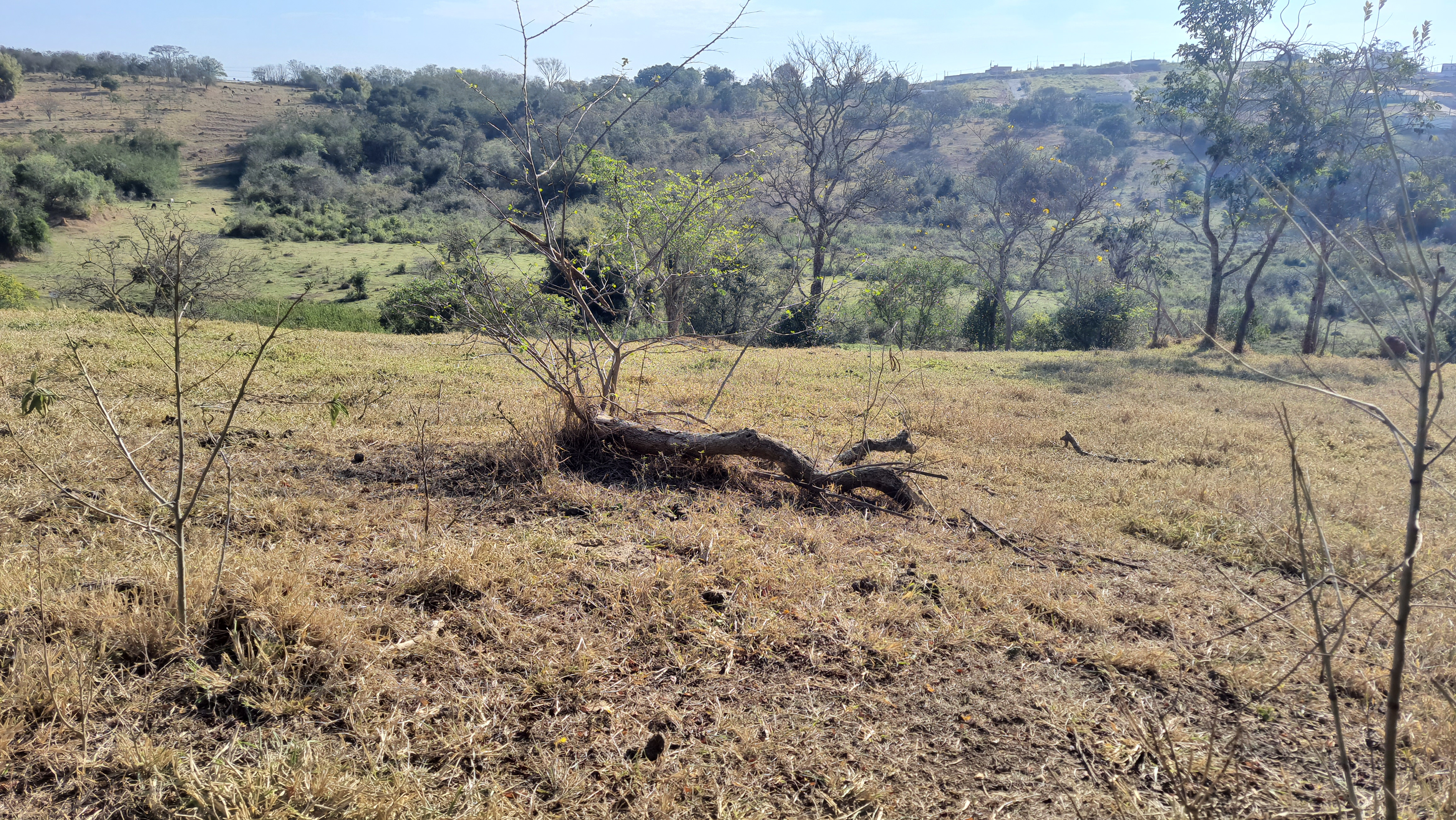 Área à venda com 220.000 m² no bairro Cataguá em Taubaté/SP.