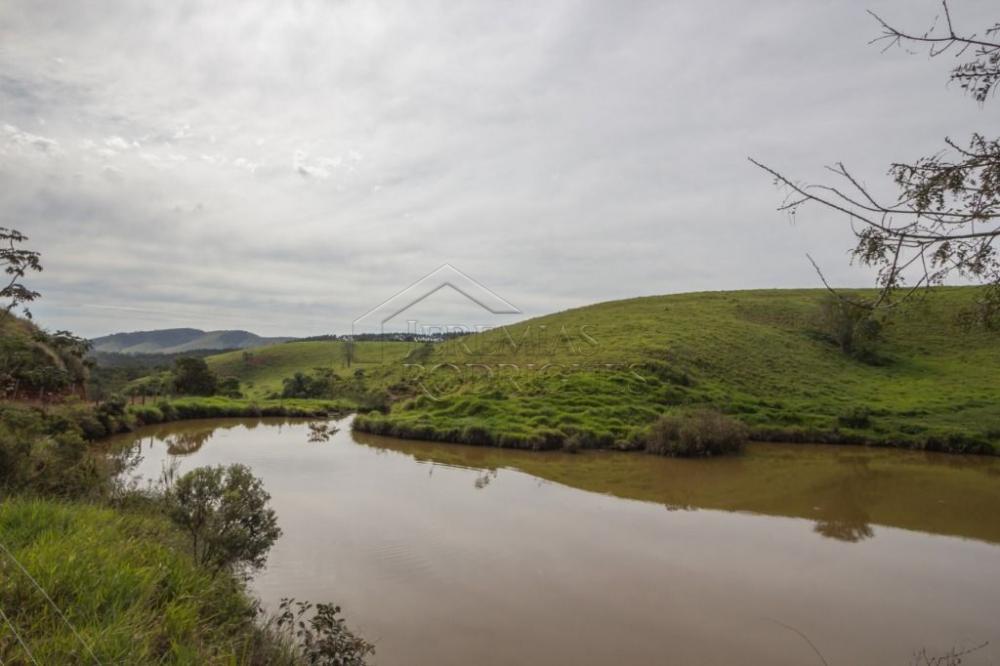 Rural misto à venda por R$ 20.000.000,00 - Roseira/SP