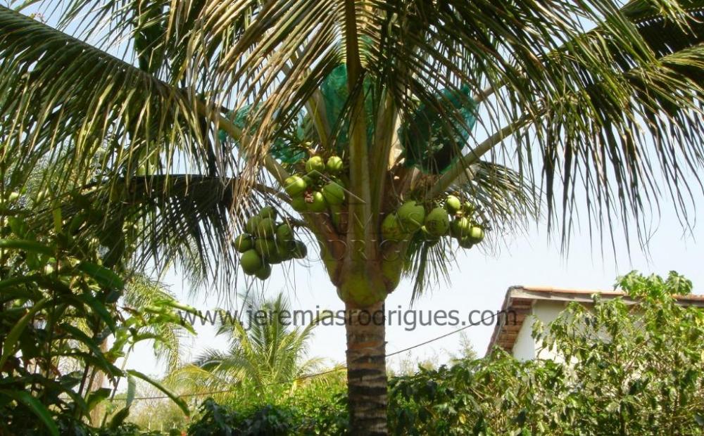 Chácara com 3 quartos, 11.184 m², à venda por R$ 1.900.000- Rancho Grande - Tremembé/SP