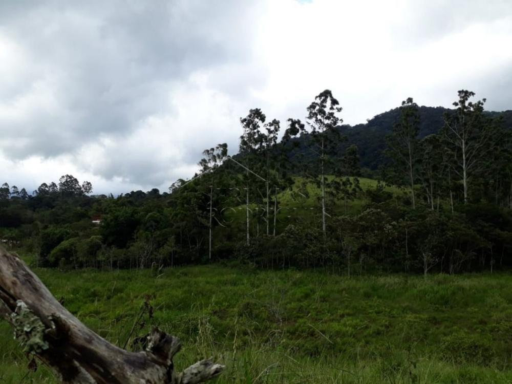 Terreno misto à venda por R$ 450.000,00 - Pindamonhangaba/SP