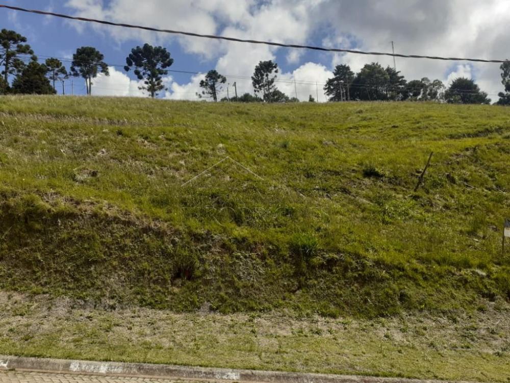 Terreno residencial à venda por R$ 1.000.000,00 - Campos do Jordão/SP