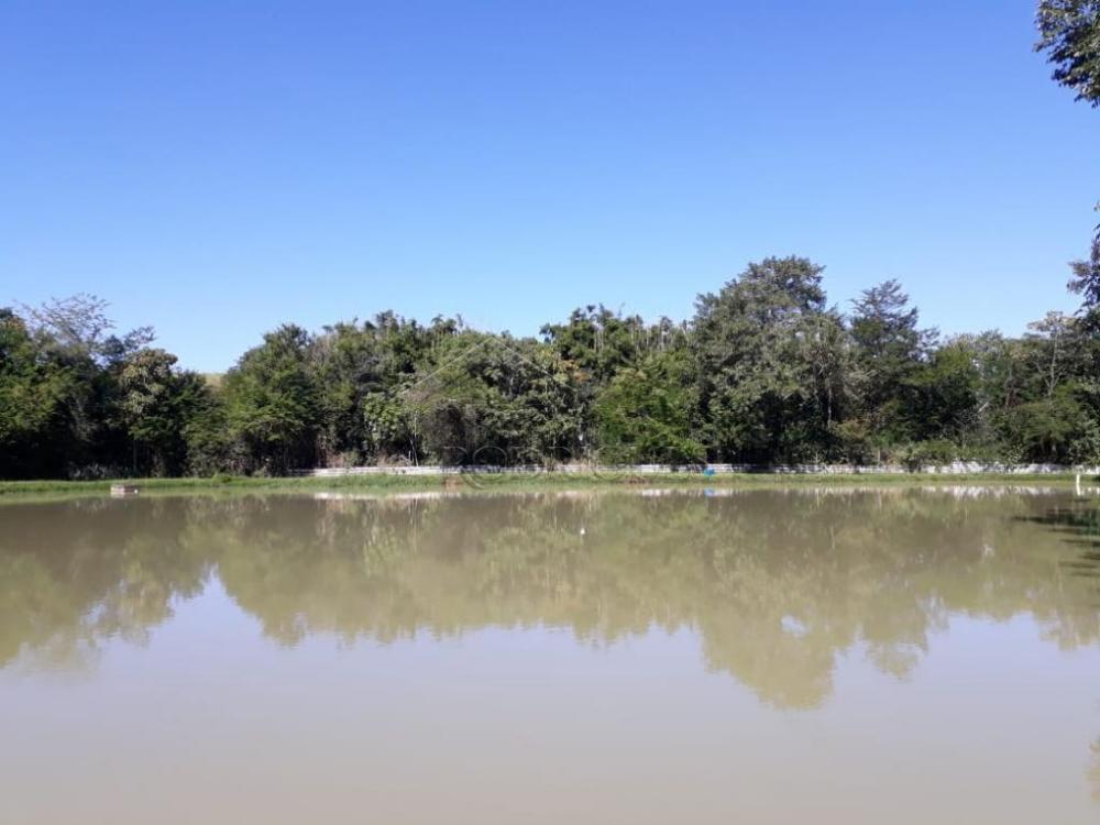 Rural misto à venda por R$ 1.500.000,00 - Pindamonhangaba/SP