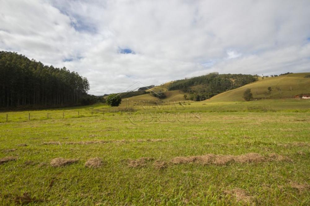 Fazenda com 4 dormitórios à venda, 968.000 m² - Lagoinha/SP