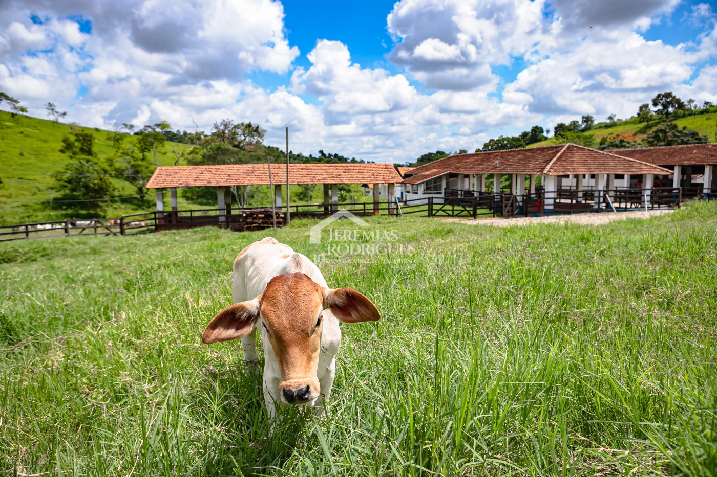 Fazenda com 2.808.000 m² - Caçapava/SP