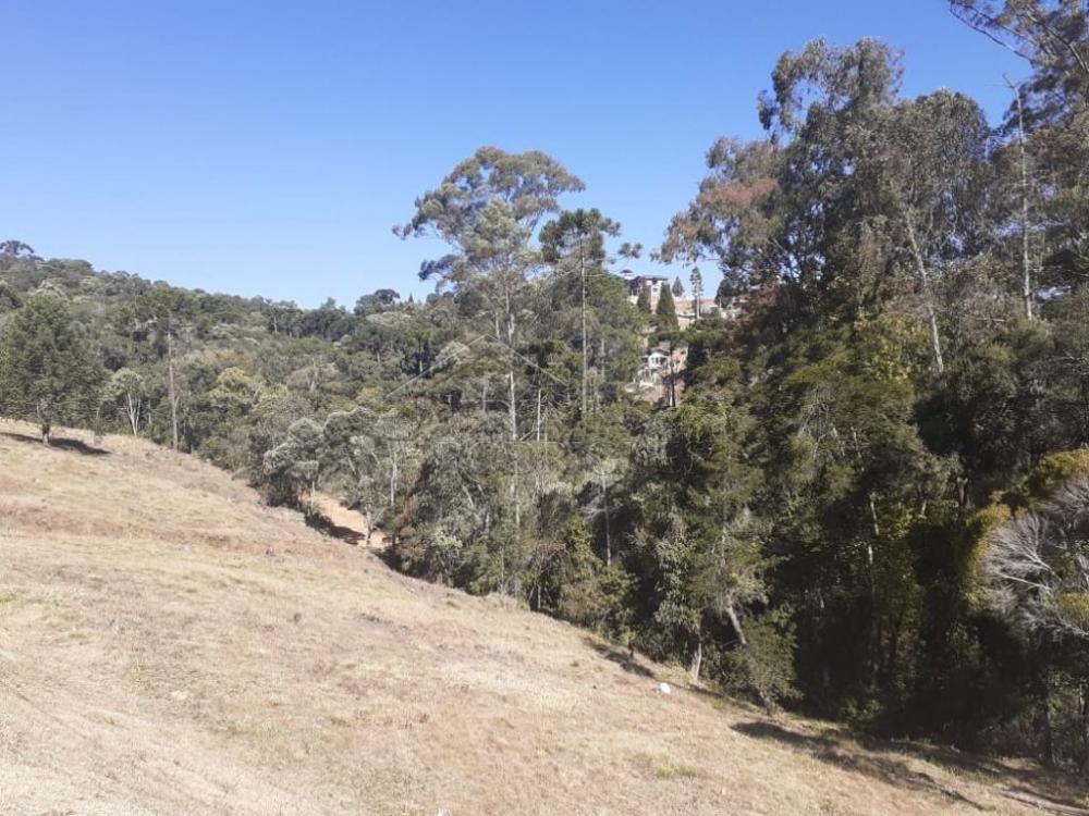 Terreno residencial à venda por R$ 1.000.000,00 - Campos do Jordão/SP
