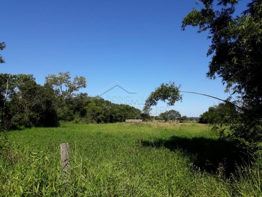 Rural misto à venda por R$ 1.500.000,00 - Pindamonhangaba/SP