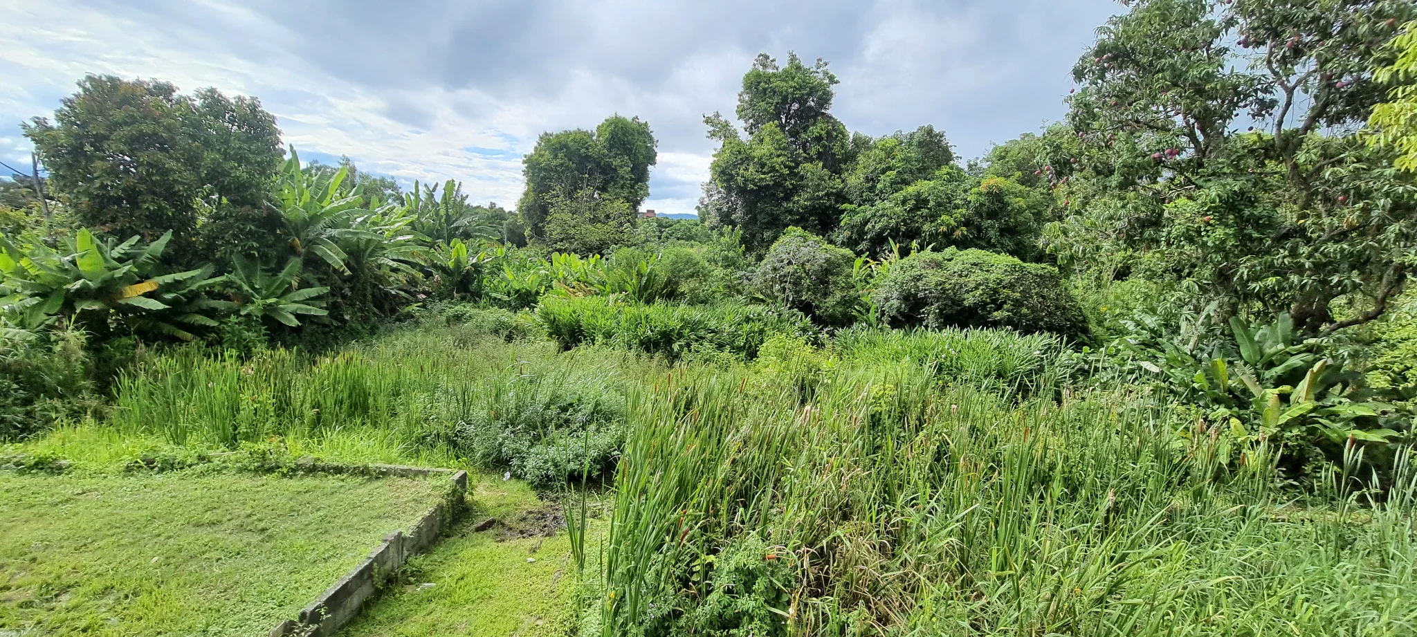 Área à venda com 10.969 m² no bairro Areão em Taubaté/SP.