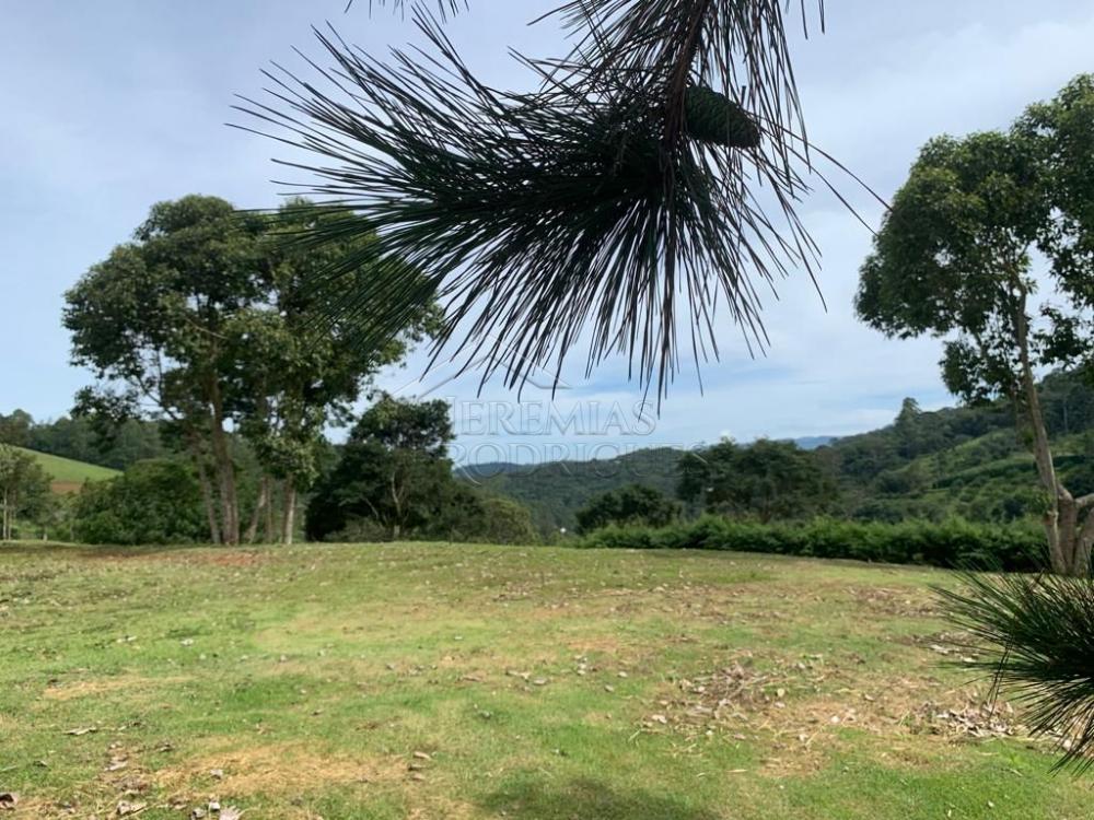 Terreno residencial à venda por R$ 850.000,00 - Santo Antônio do Pinhal/SP