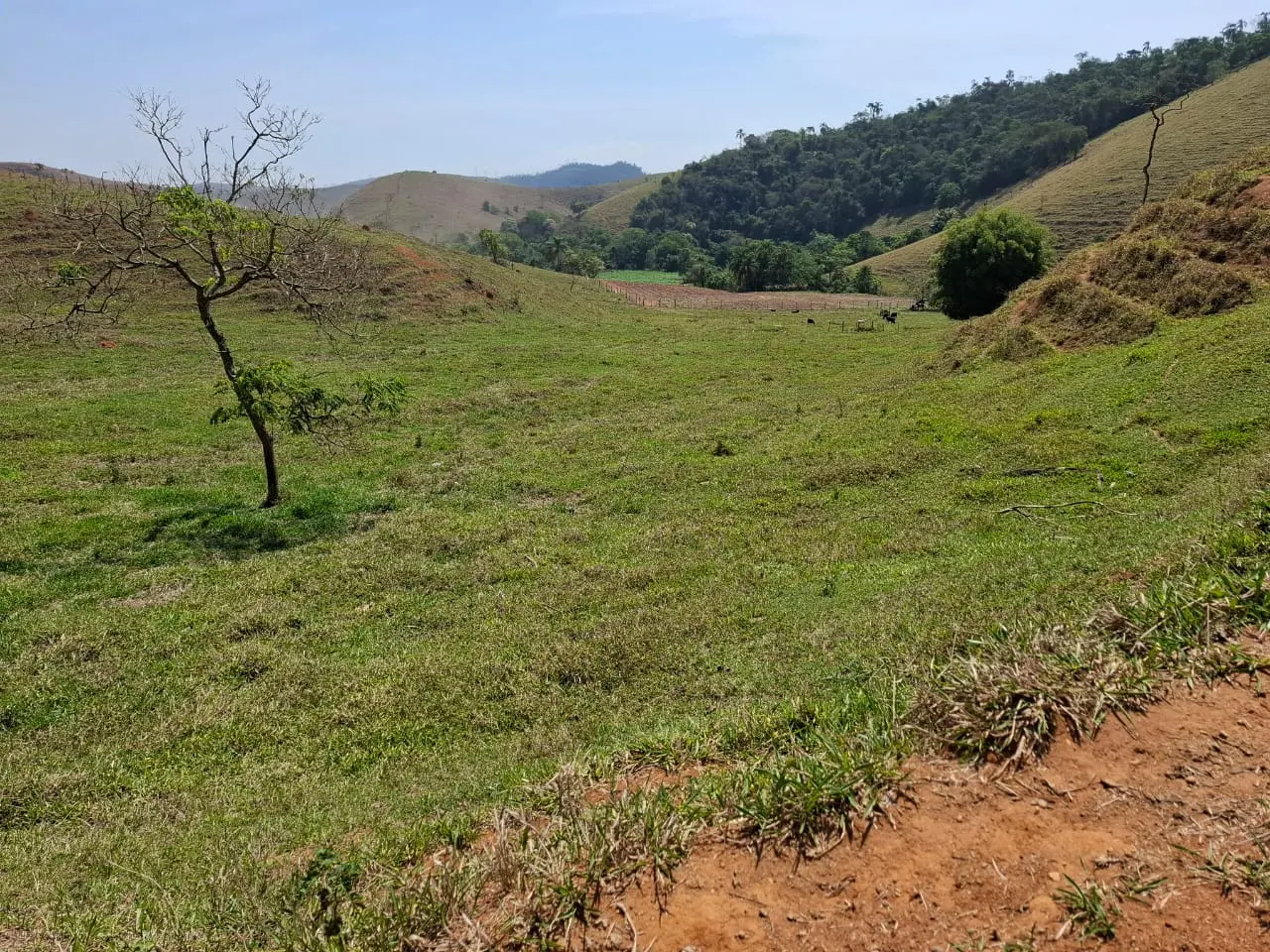 Fazenda à venda com 60 alqueires em Lorena/SP. 