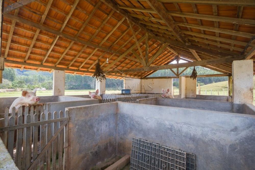 Fazenda com 4 dormitórios à venda, 968.000 m² - Lagoinha/SP