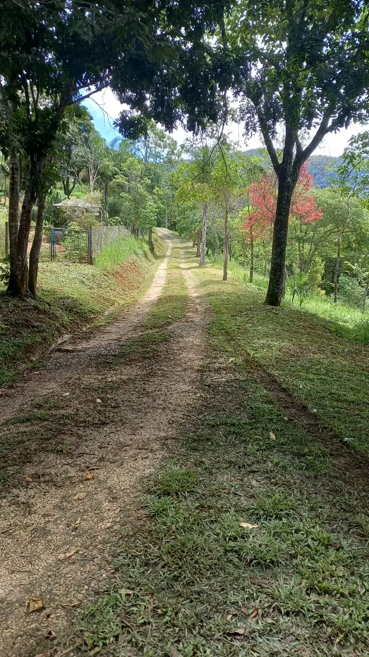 Fazenda á venda na Serra da Mantiqueira em Santo Antônio do Pinhal/SP.